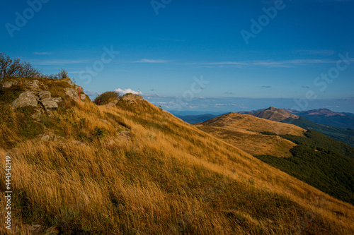Fototapeta Naklejka Na Ścianę i Meble -  Połonina Wetlińska | Bieszczady, Polska