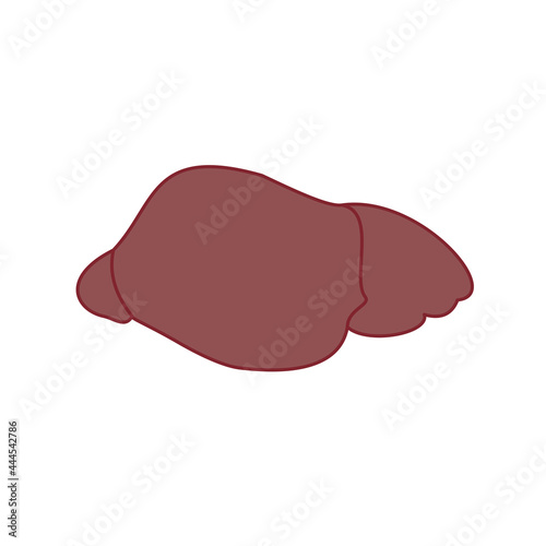 Liver, internal biological organ, by-product for cooking. Hand-drawn vector, icon. Anatomy, prevention of alcoholism, hepatitis. Healthy lifestyle, proper nutrition, medical reference book.