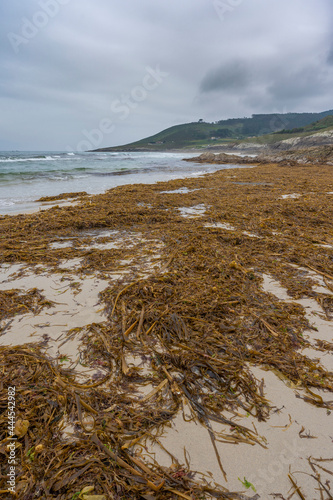 Playa de Arnela (Carballo, La Coruña - España). photo