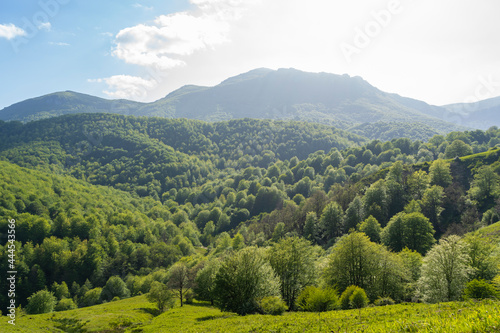 Montes praderas en el País Vasco (España). photo