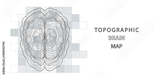 Abstract topographic map of human brain. Conceptual of creative and artificial intelligence. Futuristic forms of lines brain structure on white.