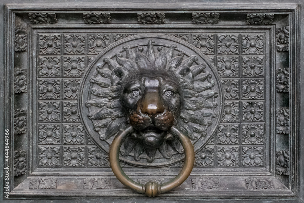 old metal door knocker doorbell lion. in lion shape