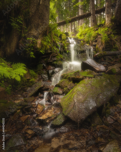 Waterfall in the summer forest. Colorful natural landscape with waterfall with blurry water in the mountains