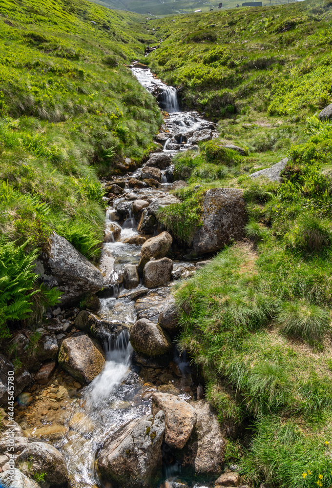 Mountain stream flowing over rocks
