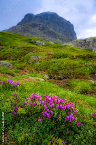 Bitihorn mountain in Jotunheimen national park, Norway