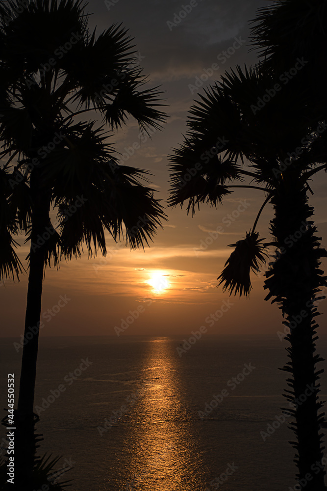 Beautiful stunning scenic panoramic view of the golden sky and reflections on the Andaman sea with palm trees during the sunset at Promthep Cape landmark viewpoint in Phuket