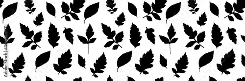Leaf Collection. Leaves Flying. Seamless Pattern. et of Tree Branches, Herbs and Flowers Flat. Black and White Plants. Vector Silhouette. Garden Leaves.