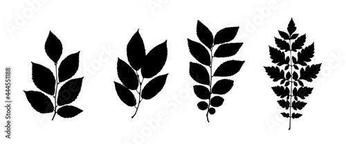 Leaf Collection. Set of Tree Branches, Herbs and Flowers Flat. Black and White Plants. Vector Silhouette. Garden Leaves.