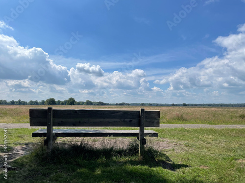 Park bench at the National Park Drents-Friese Wold