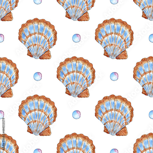 Watercolor pattern illustration of large beige blue seashells with scallop and bubbles. Underwater world. Tropical shell. The external skeleton is made of mollusc-type marzipan. Isolated over white 