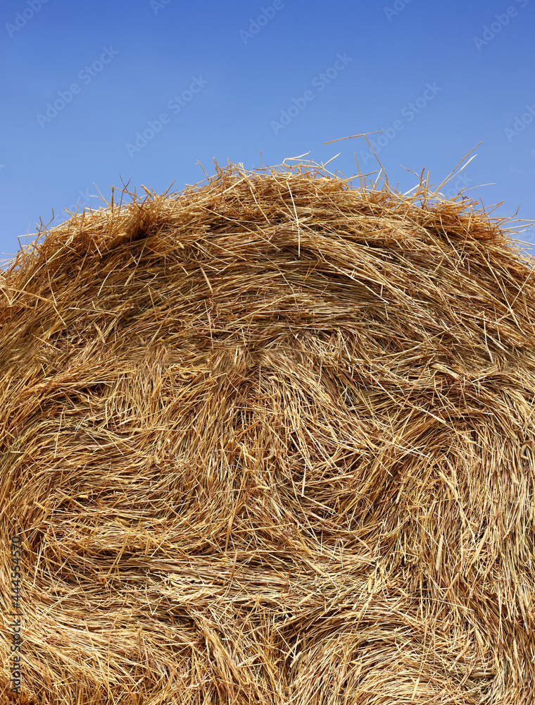 a huge stack of dry hay against the sky close-up. summer feed preparation a huge stack of dry hay against the sky close-up. summer feed preparation