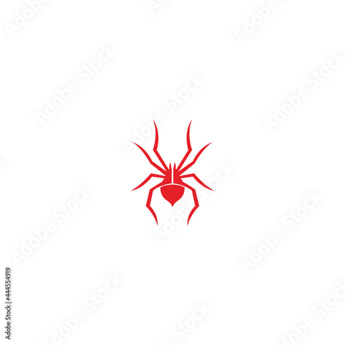 modern minimalist spider logo design
