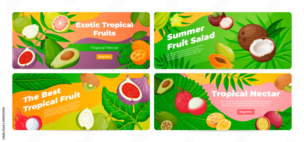 Collection of exotic tropical fruits landing page vector flat illustration horizontal banner vitamin Collection of exotic tropical fruits landing page vector flat illustration horizontal banner vitamin