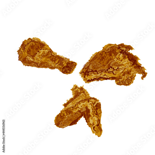 Fried chicken illustration vector image