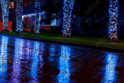 Trees decorated with garlands in the Christmas night . Illumination reflection in the wet pavement