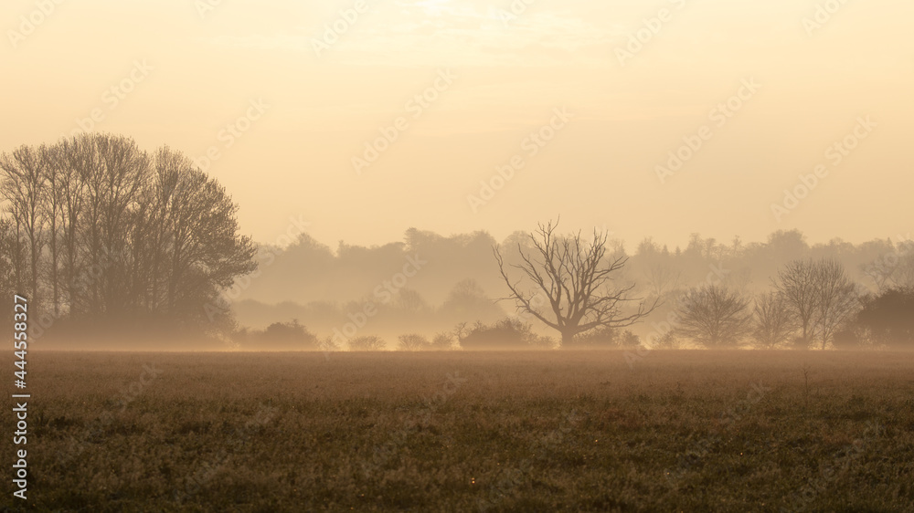 A misty morning in rural england countryside with no people