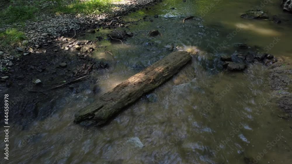 Log in river Log in river