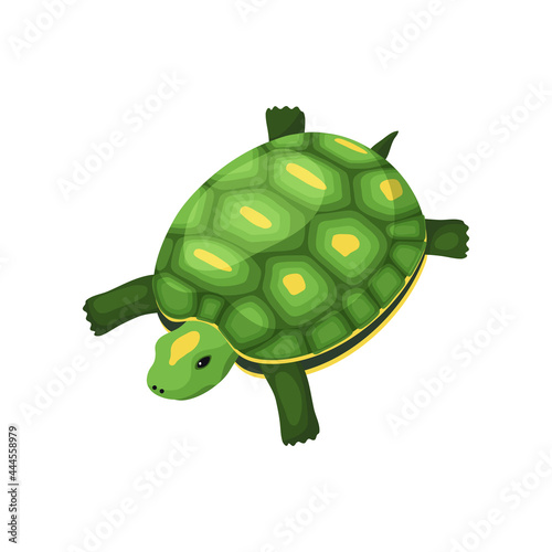Turtle Isometric Illustration