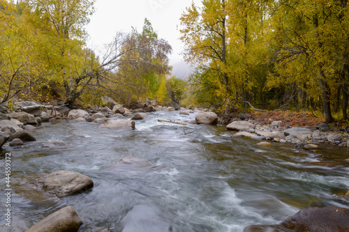 River 'Zhizhi'. Fall. Overcast. Ile-Alatau mountains, Almaty region, Kazakhstan.
