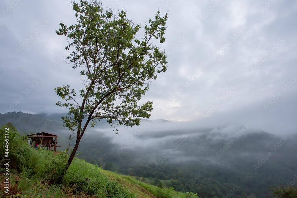 Mountain landscape in the morning, trees, hillside houses, fog, cool atmosphere. hill tribe houses in Thailand except for the clear area on the right Mountain landscape in the morning, trees, hillside houses, fog, cool atmosphere. hill tribe houses in Thailand except for the clear area on the right