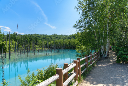 夏のよく晴れた日の青い池 北海道美瑛町の観光イメージ