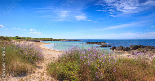 The beautiful coast of Salento: Marina di Salve Beach. It' s almost sandy and embellished with low cliffs, easy to reach in the area of the municipalities of Salve and Ugento in Puglia, Italy. photo