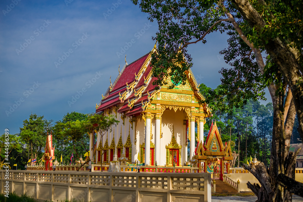 Naklejka premium The background of Lanscape (fields, mountains, fog, trees) with intimate view. And fresh in the sight of the journey, light wallpaper of the sun in the morning.