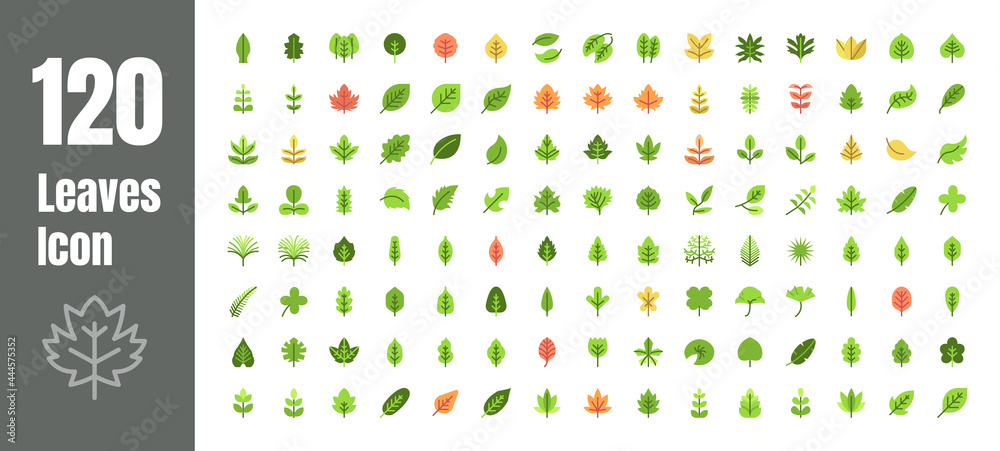 Spring and Autumn Leaf Flat Color Icon Set. Minimal Style Illustration Vector. Spring and Autumn Leaf Flat Color Icon Set. Minimal Style Illustration Vector.