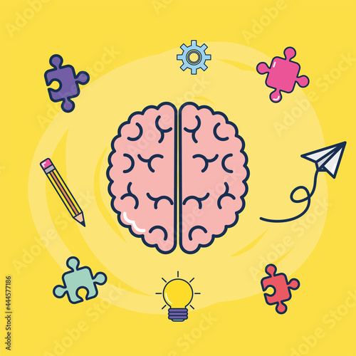 hemispheres of the brain functions