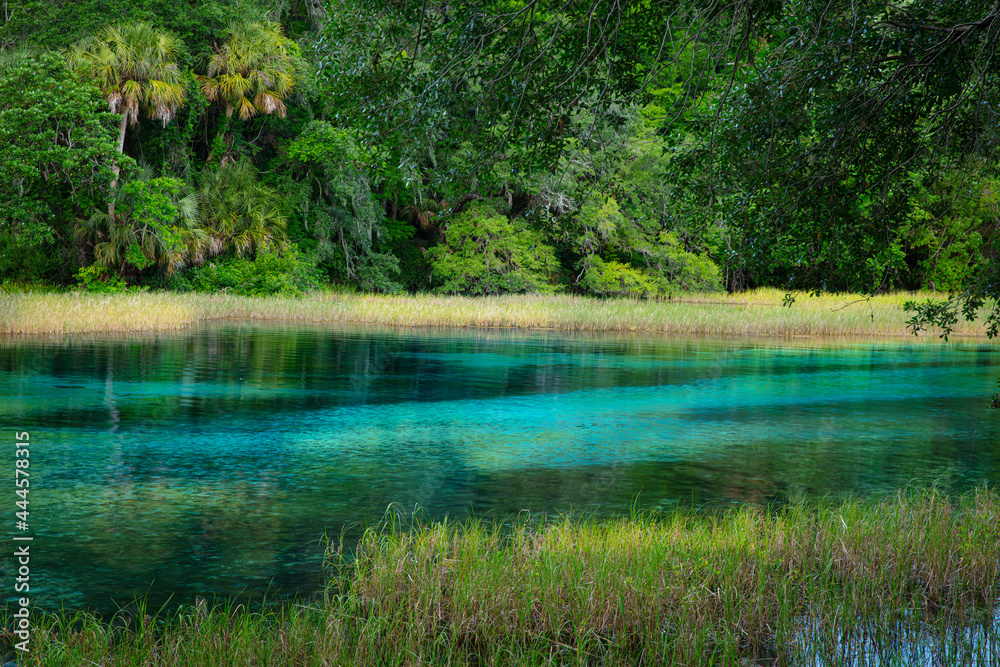 rainbow springs flow