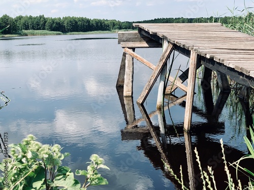 Wooden bridge on the lake among the green reeds. Blue sky with white clouds. Summer landscape.