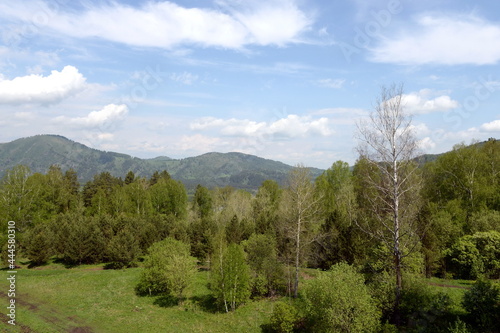 Forest landscape on the mountain Malaya Sinyukha in the area of Lake Manzherok. Gorny Altai