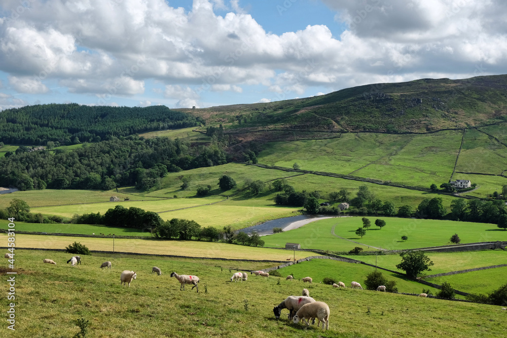 A view looking south over towards Burnsall and Thorpe Fell, in the Yorkshire Dales, North Yorkshire.