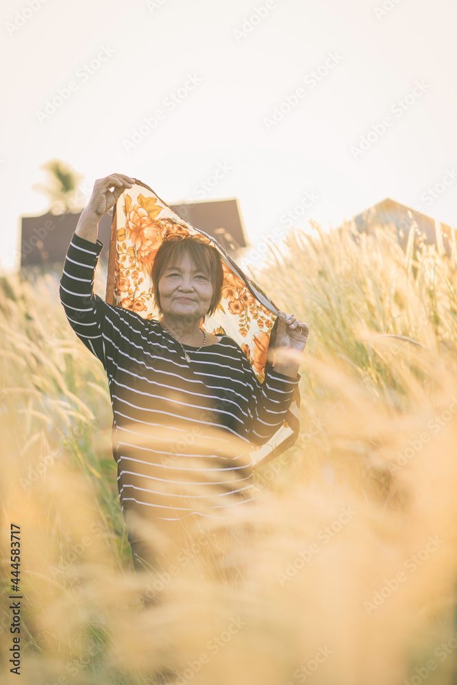 Elderly woman stands with arms wide open on grass field in summer.  woman with raised arms in front of field at sunset.