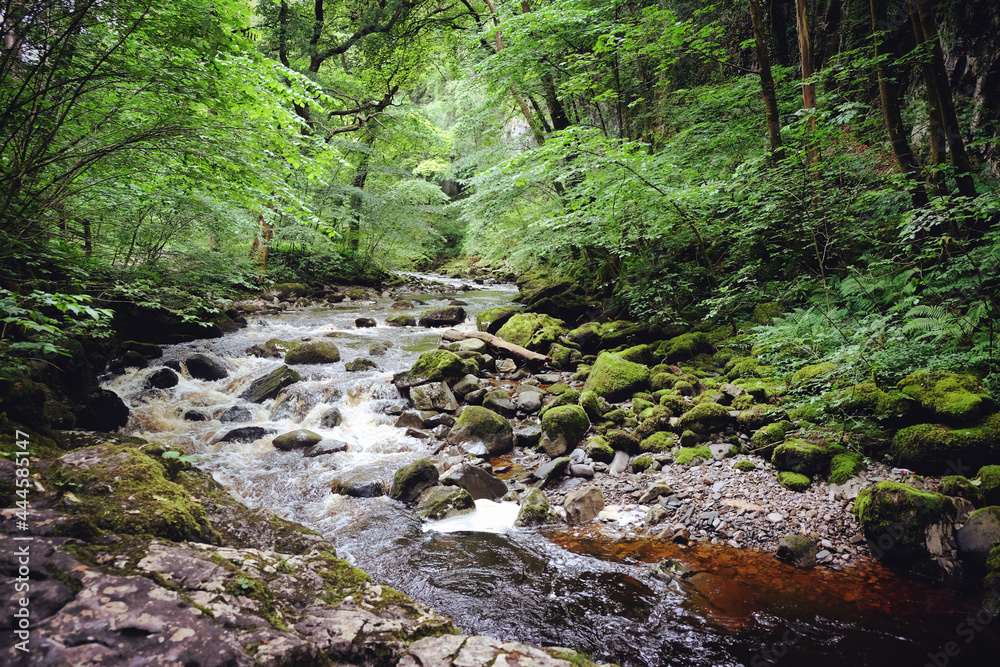 Swilla Glen on the Ingleton Waterfals Trail, in the Yorkshire Dales, North Yorkshire. Swilla Glen on the Ingleton Waterfals Trail, in the Yorkshire Dales, North Yorkshire.