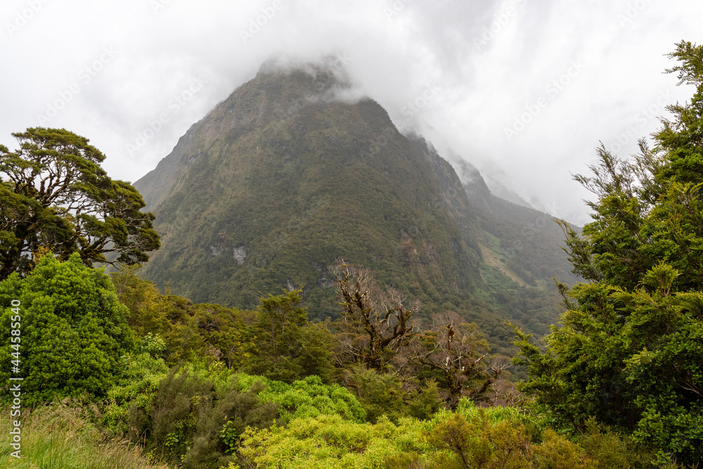 Impressive rainforest and mountains surrounded by beautiful clouds, Milford Sound highway, New Zealand