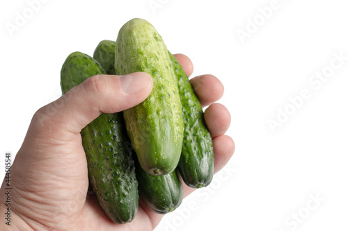 cucumber in hand