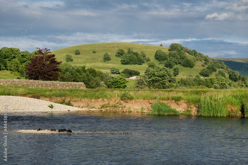 A view along the River Wharfe towards Kail Hill, in the Yorkshire Dales, North Yorkshire.