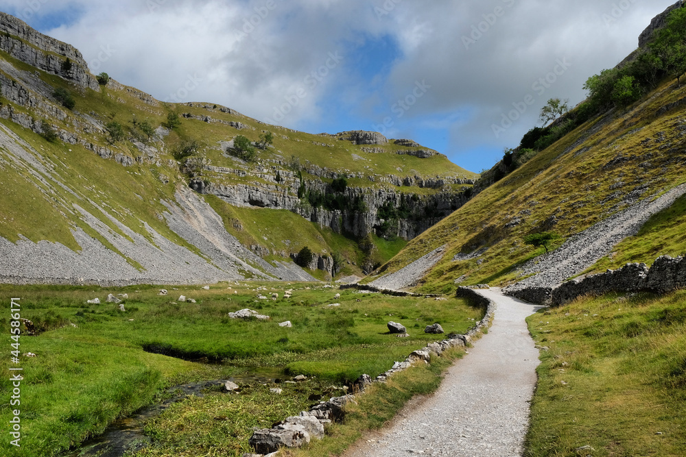 Naklejka premium Limestone scenery Gordale Scar, Yorkshire Dales, UK