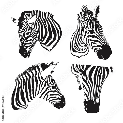 Graphical set of zebras head isolated on white background vector hand-drawn illustration for tattoo and printing