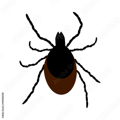 Mite icon isolated on white background. Wild or domestic tick parasite. Flat cartoon mite icon symbol or sign. Insect control, pest removal services. Stock vector illustration