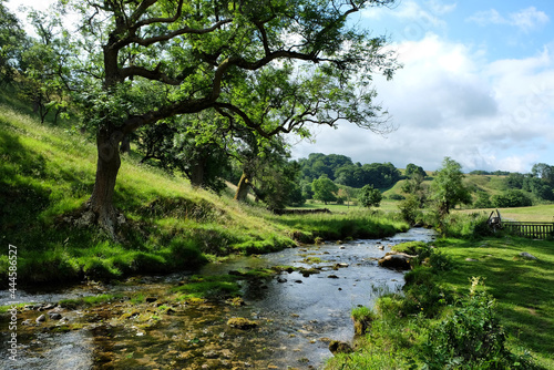 Gordale Beck  Yorkshire Dales  UK