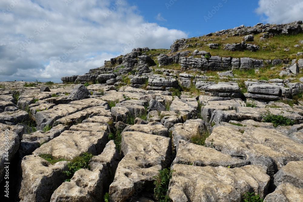 Limestone pavement scenery, Yorkshire Dales, UK