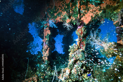 Bridge Wheelhouse of a Sunken Ship Wreck at Truk Chuuk Lagoon Micronesia that is now a Coral Reef with Colorful Fish