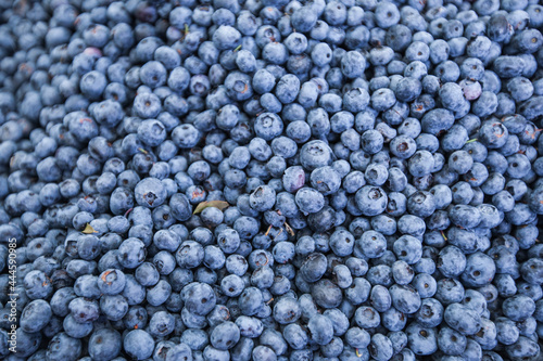 Fresh healthy organic blueberries. Antioxidant . Summer food