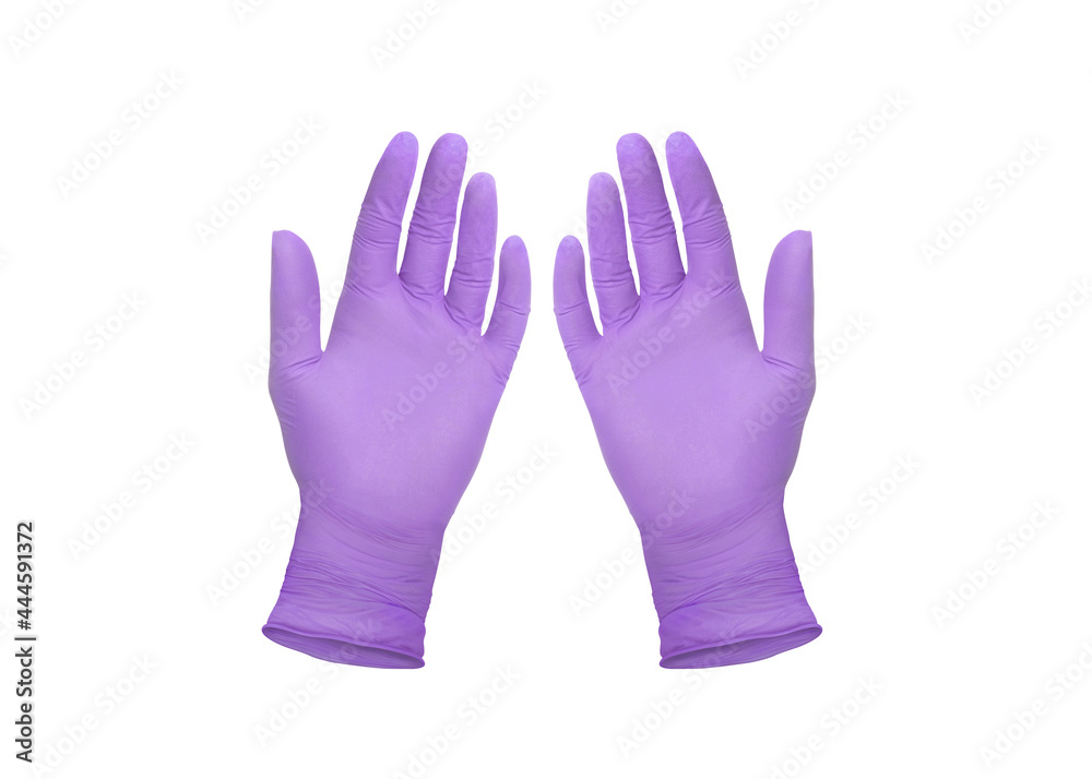 Medical nitrile gloves.Two violet surgical gloves isolated on white background with hands. Rubber glove manufacturing, human hand is wearing a latex glove. Doctor or nurse putting on protective gloves Medical nitrile gloves.Two violet surgical gloves isolated on white background with hands. Rubber glove manufacturing, human hand is wearing a latex glove. Doctor or nurse putting on protective gloves