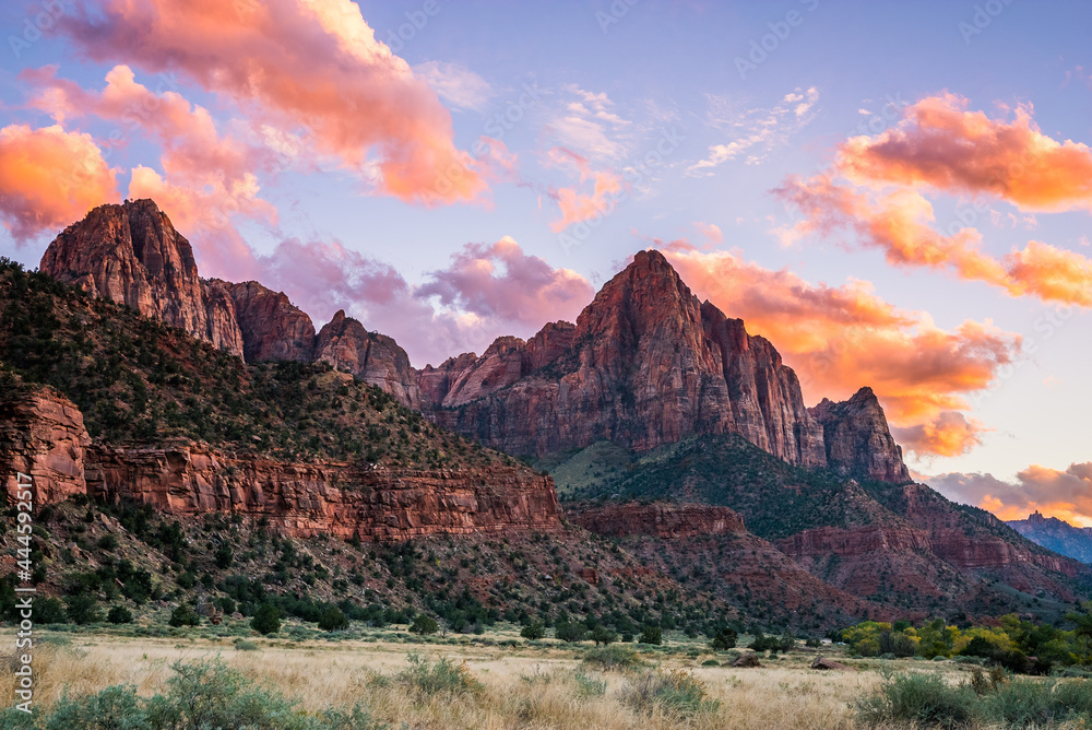 The rays of the sun illuminate red cliffs. Park at sunset. A beautiful pink sky. Zion National Park, Utah, USA - obrazy, fototapety, plakaty 