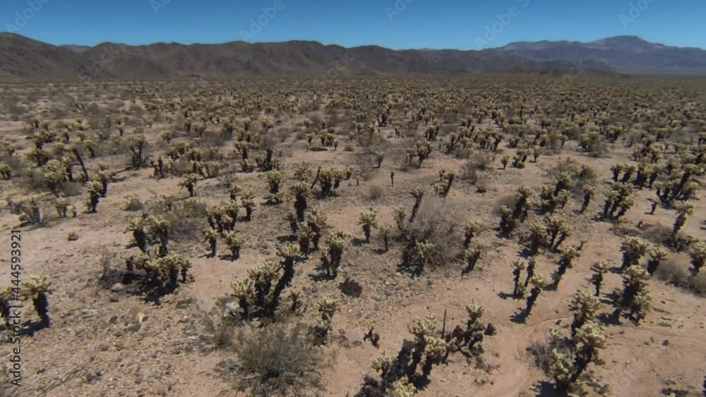 Aerial: flying over desert in Joshua Tree National Park, California, USA Aerial: flying over desert in Joshua Tree National Park, California, USA