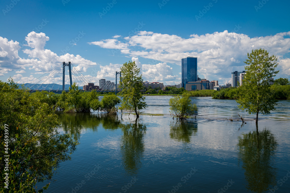 Fototapeta premium the river in the city