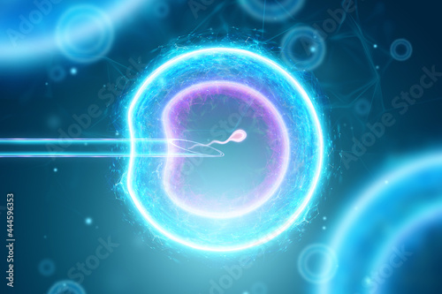 Φωτογραφία Artificial fertilization of an egg